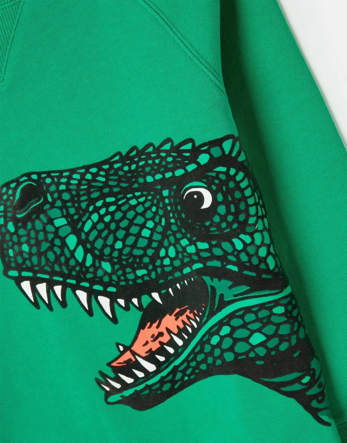 Boys' Ventura Artwork Crew Neck Sweatshirt | Joules