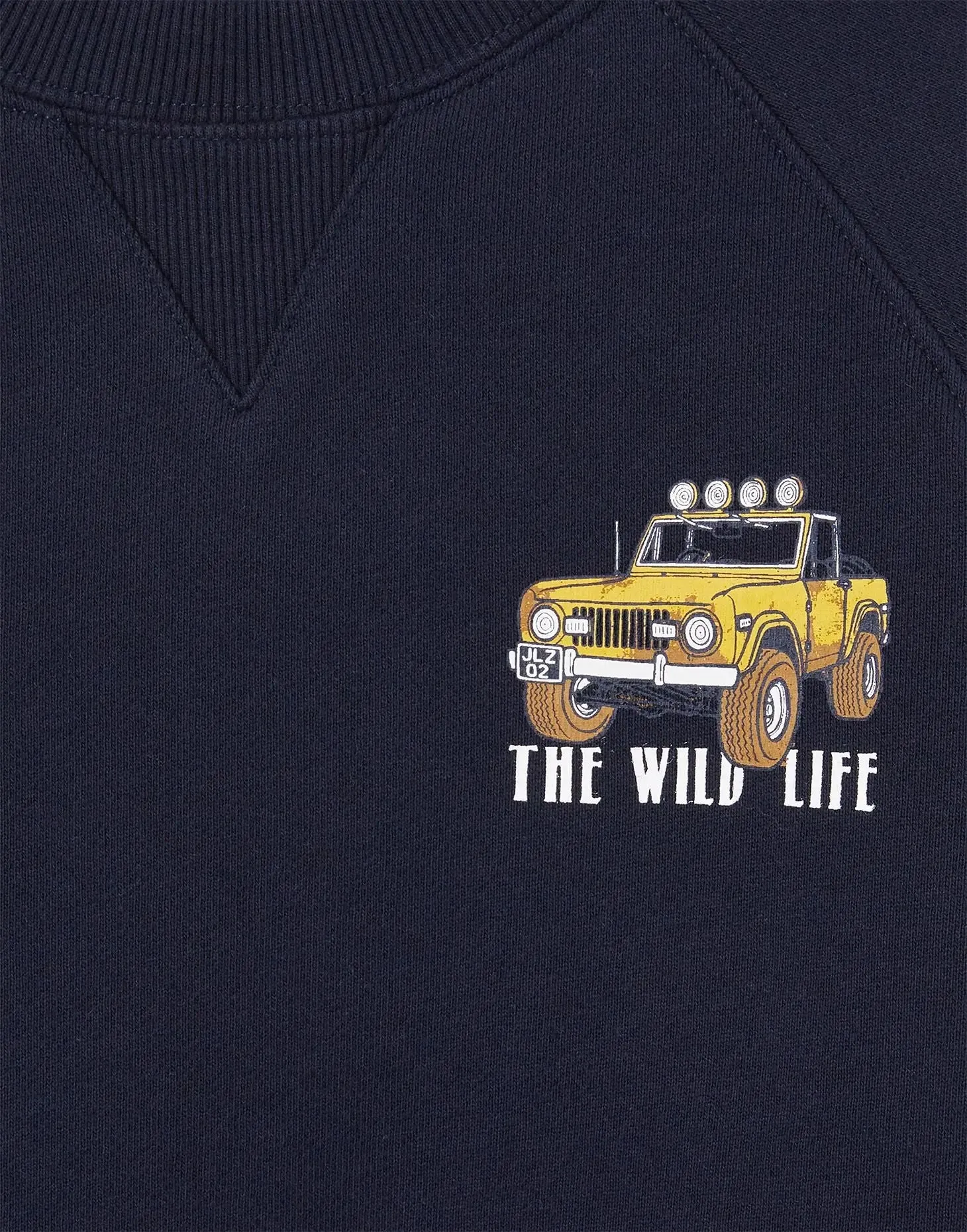 Ventura Artwork Crew Neck Sweatshirt | Joules