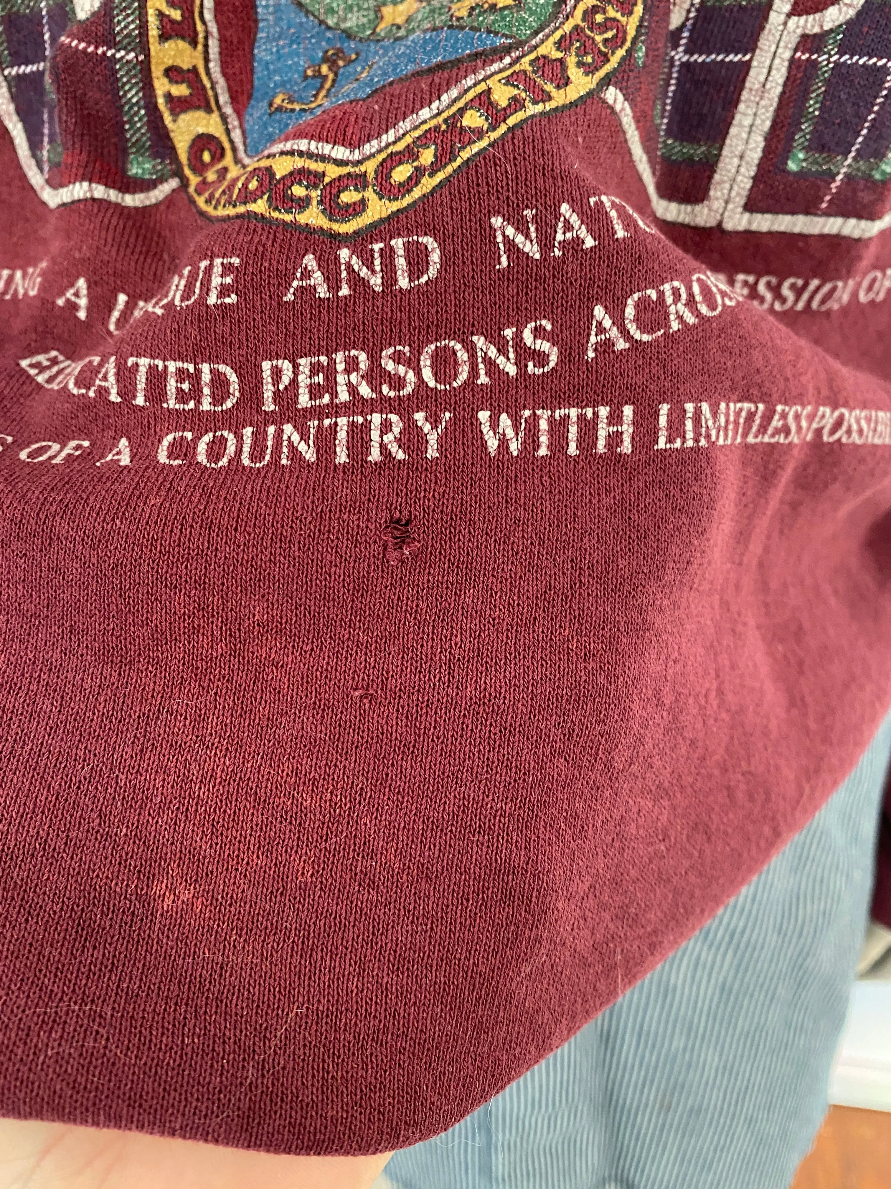 Vintage Lee Authentic Institution of Co-Ed Co-Education Sweatshirt Sz L